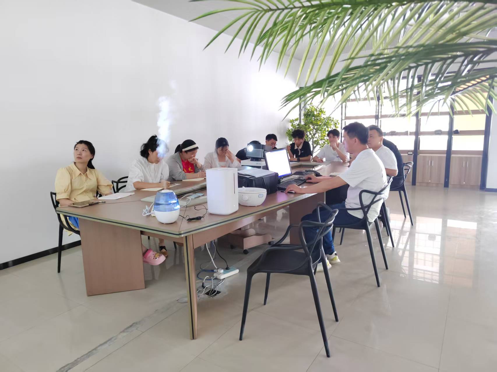 הומידיפיער וויסן טראַינינג סעסיע